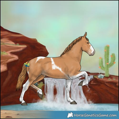 Horse Color:Chestnut Tobiano 