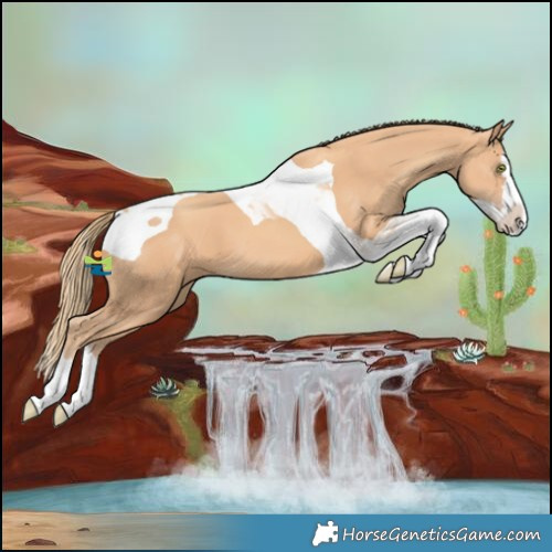 Horse Color:Gold Champagne Splash Tobiano 