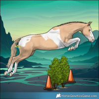 Horse Color:Gold Champagne Splash Tobiano