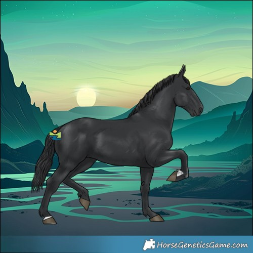 Horse Color:Black 
