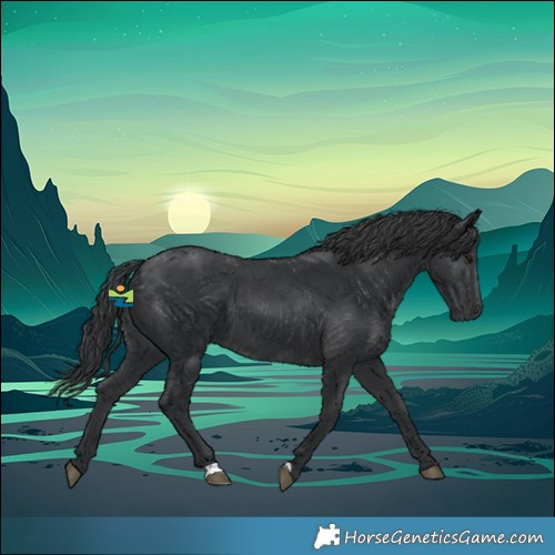 Horse Color:Black 