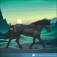 Horse Color:Black 
