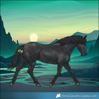 Horse Color:Black 