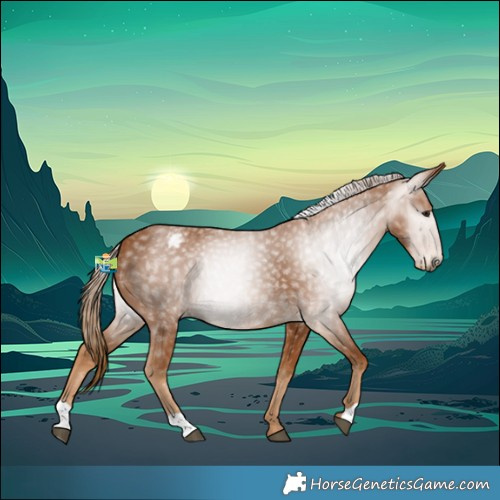 Horse Color:Gray Chestnut Blanket