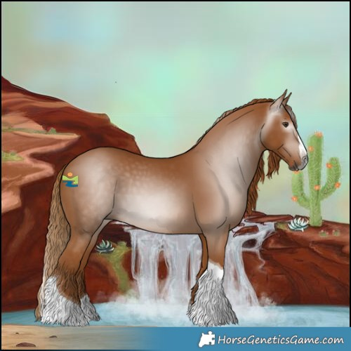 Horse Color:Gray Chestnut Splash Tobiano 