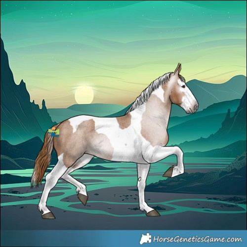 Horse Color:Gray Red Roan Splash Tobiano
