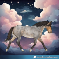 Horse Color:Buckskin Roan 