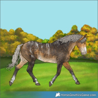 Horse Color:Powder White Silver Bay 
