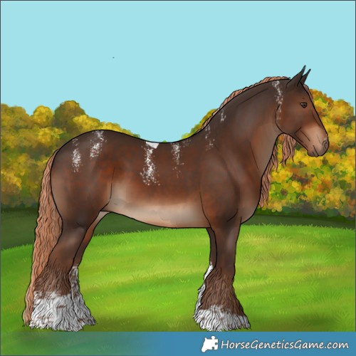 Horse Color:Powder White Liver Chestnut Tobiano