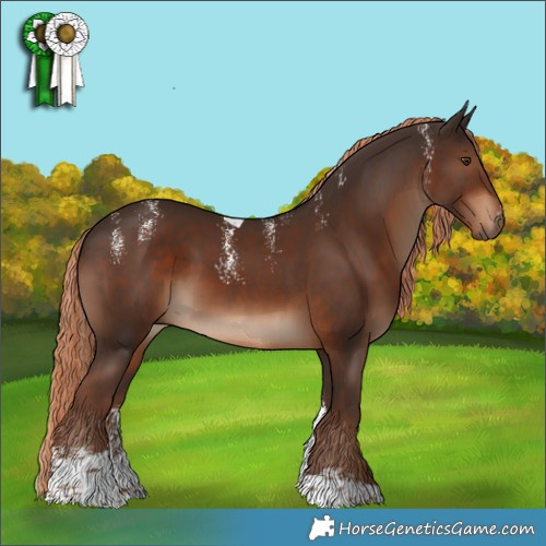 Horse Color:Powder White Liver Chestnut Tobiano