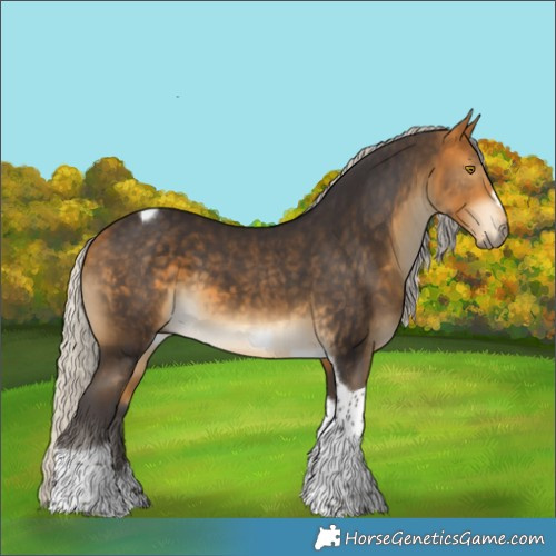 Horse Color:Silver Buckskin Tobiano Frame 