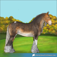 Horse Color:Silver Buckskin Tobiano Frame