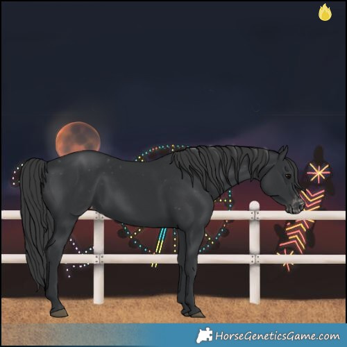 Horse Color:Black Varnish Rabicano 