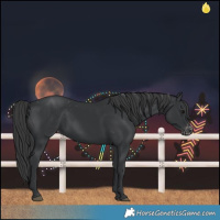 Horse Color:Black Varnish Rabicano 