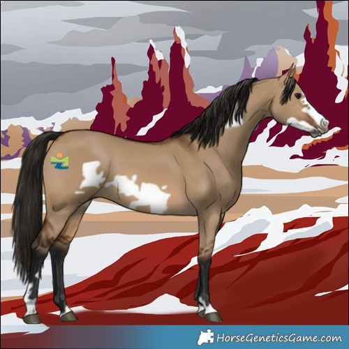 Horse Color:Gray Bay Dun Frame Rabicano 
