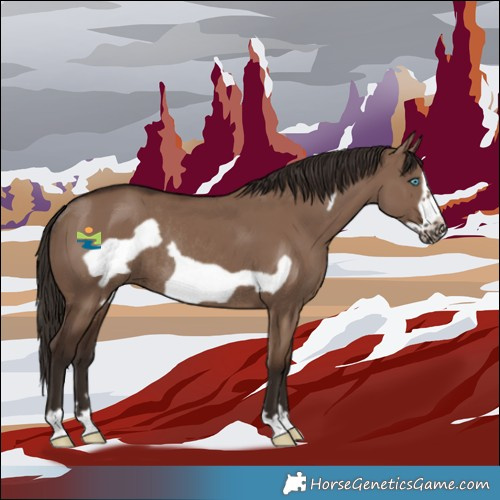 Horse Color:Liver Red Dun Frame Rabicano