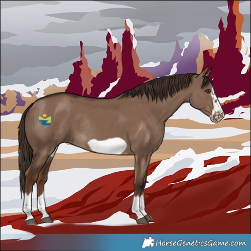 Horse Color:Liver Red Dun Frame Rabicano 
