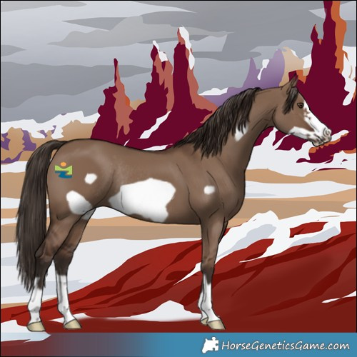 Horse Color:Liver Red Dun Frame Rabicano 