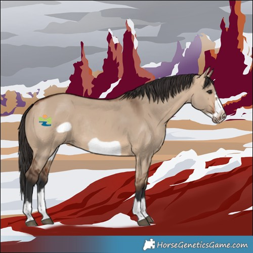 Horse Color:Bay Dun Frame Rabicano