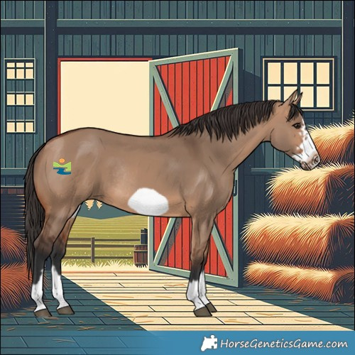 Horse Color:Bay Dun Frame Rabicano
