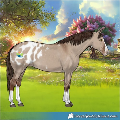 Horse Color:Liver Red Dun Splash Blanket 