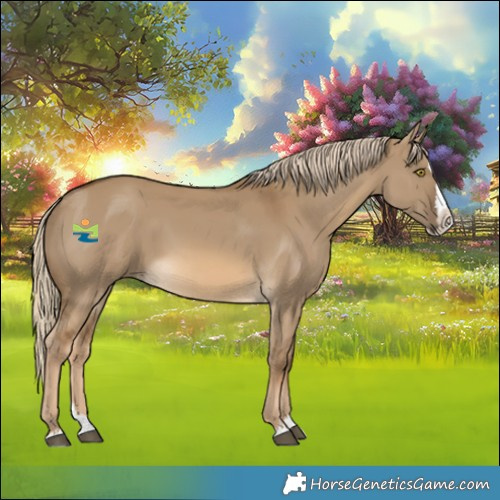 Horse Color:Chocolate Palomino Dun Splash