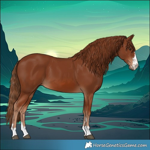 Horse Color:Chestnut 