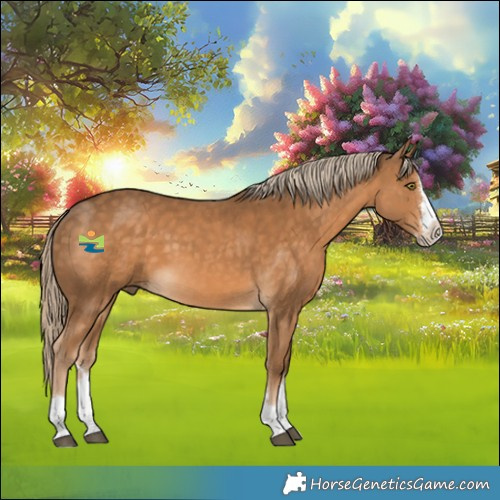 Horse Color:Chocolate Palomino Splash 