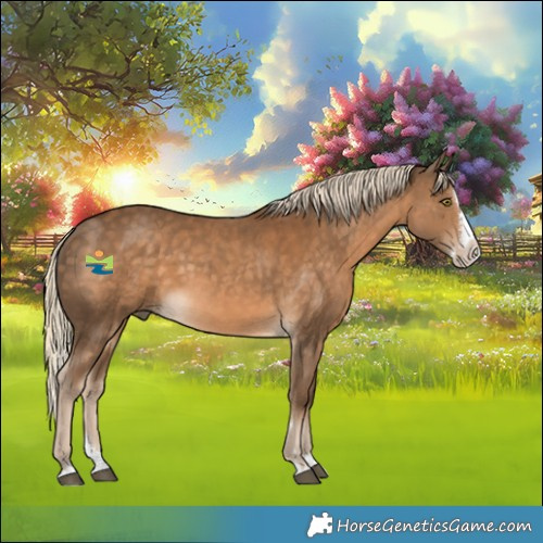 Horse Color:Chocolate Palomino Splash Rabicano 