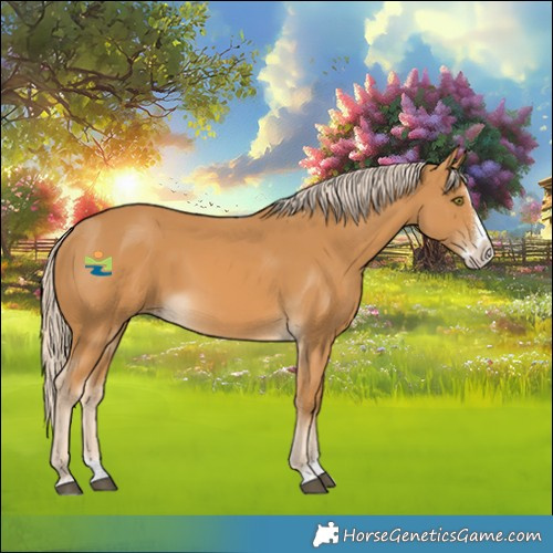 Horse Color:Palomino Splash Rabicano