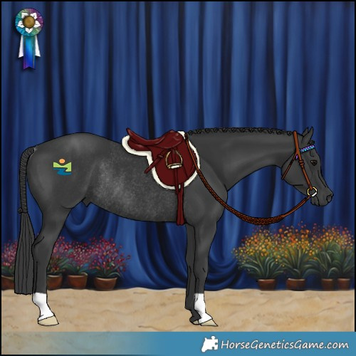 Horse Color:Black Rabicano 