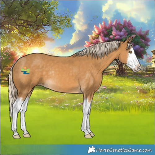 Horse Color:Palomino Splash Varnish Rabicano