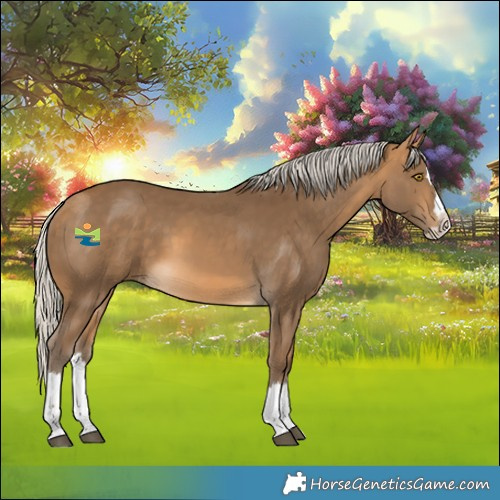 Horse Color:Silver Buckskin Splash Rabicano 