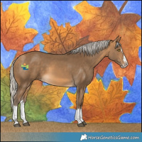 Horse Color:Silver Buckskin Splash Rabicano
