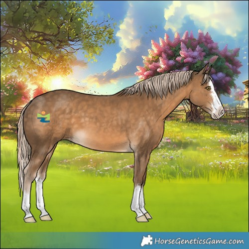 Horse Color:Chocolate Palomino Splash 