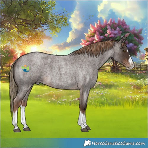 Horse Color:Liver Red Roan Splash
