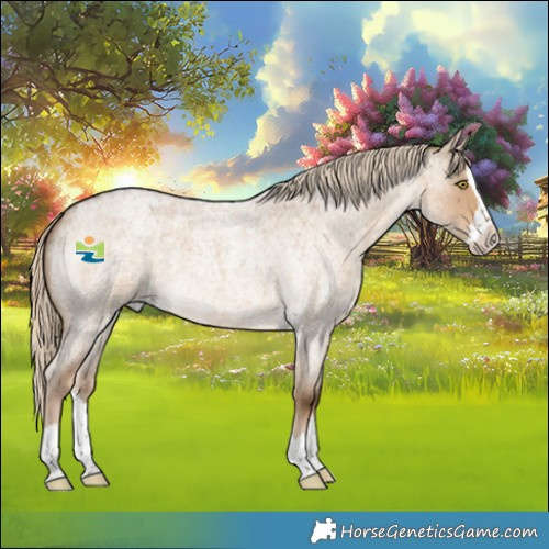 Horse Color:Chocolate Palomino Roan Dun Splash 