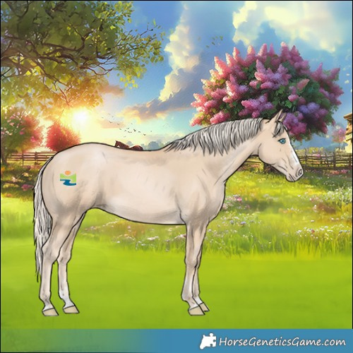 Horse Color:Palomino Pearl Splash