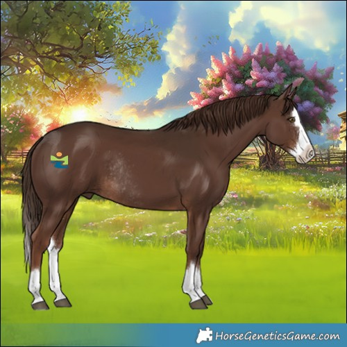 Horse Color:Liver Chestnut Splash Rabicano