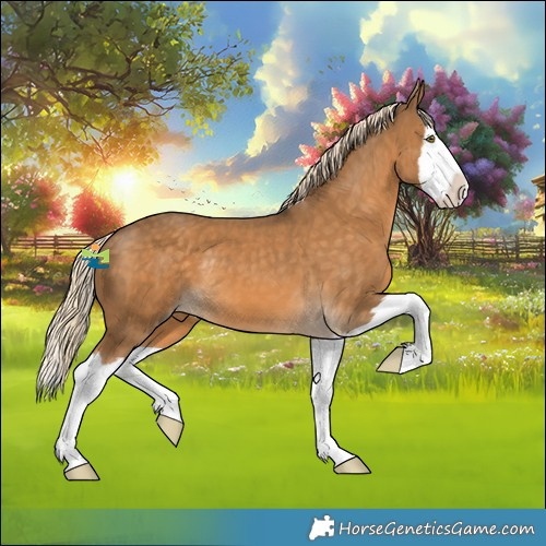 Horse Color:Chocolate Palomino Splash Rabicano