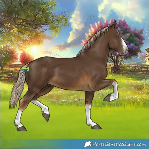 Horse Color:Gray Chocolate Palomino Splash 