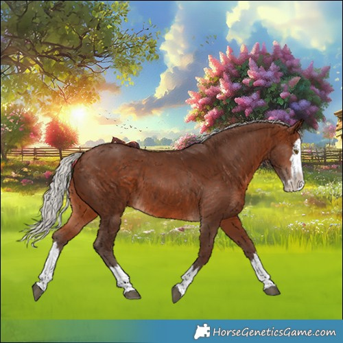 Horse Color:Silver Brown Splash 