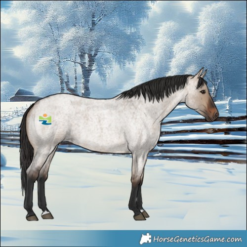 Horse Color:Brown Roan Dun Rabicano