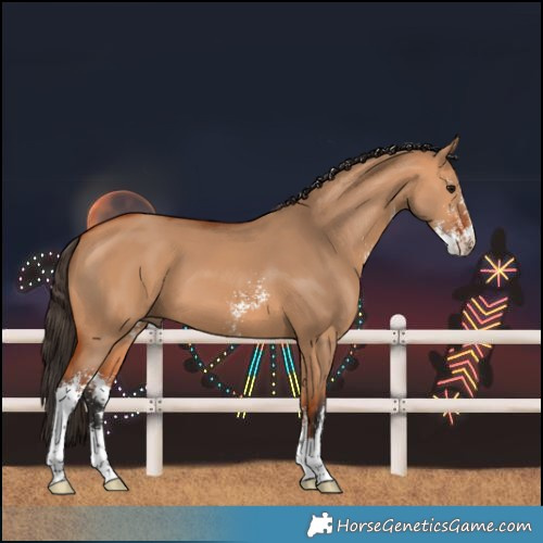Horse Color:Bay Dun Sabino