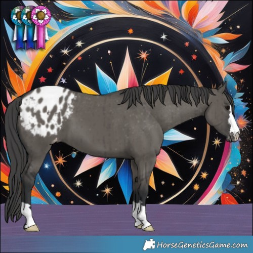 Horse Color:Grullo Appaloosa Brindle 