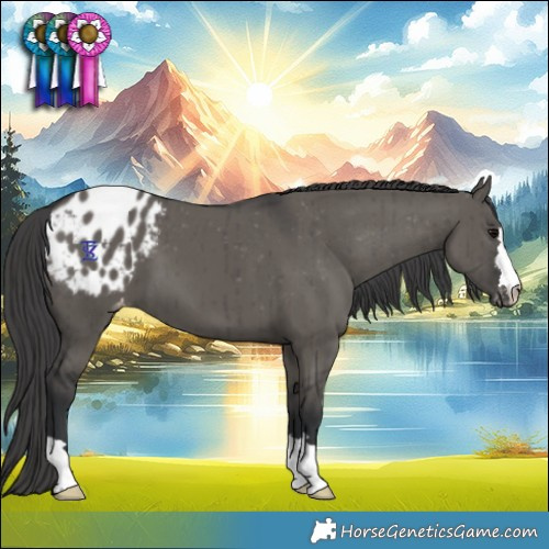Horse Color:Grullo Varnish Brindle 