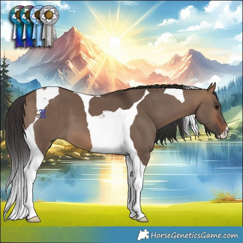 Horse Color:Brown Dun Tobiano