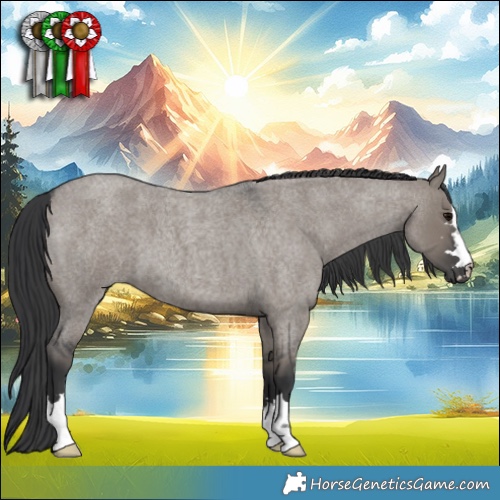 Horse Color:Grullo Roan 
