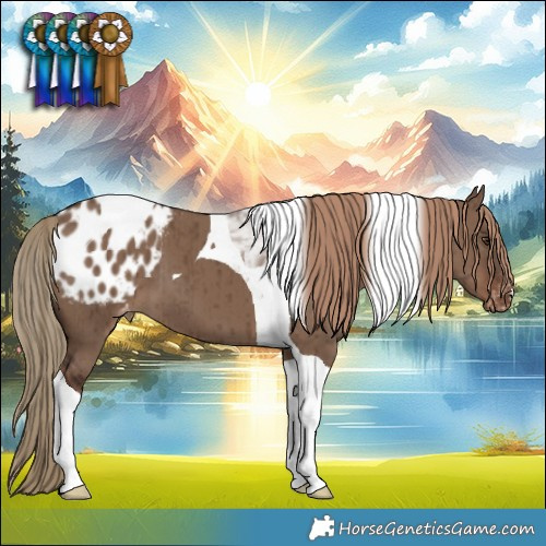 Horse Color:Liver Red Dun Tobiano Blanket Brindle