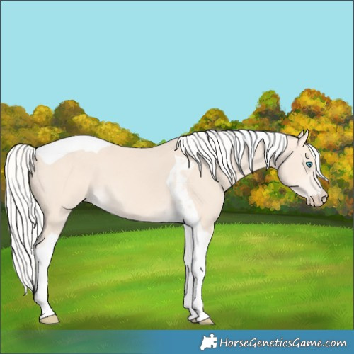 Horse Color:Silver Perlino Tobiano